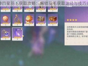 原神四星羽毛获取攻略：解锁羽毛获取途径与技巧分享