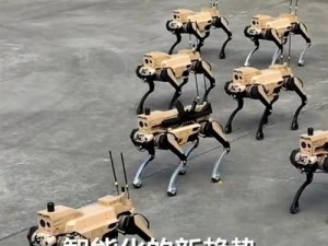 武器截图预览——解密解压武器全貌：尖端科技与传统武器并存的新时代军事力量展示