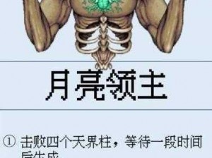 泰拉瑞亚月球领主召唤攻略与战斗指南：掌握召唤流程，轻松击败月球领主技巧全解析