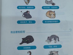 小森生活中的猫咪世界：猫咪种类百科全书