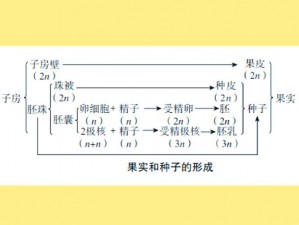 奶块雨栗果种子合成秘诀与高效种植技巧详解