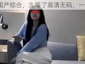 91 精品国产综合，久等了高清无码，一次看个够