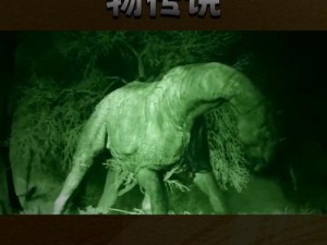 天辉矿洞内生物征服探秘：能否驯服矿洞神秘生物？