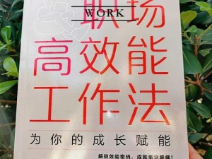 揭秘高效工作模式：掌握你的公司996道具使用指南