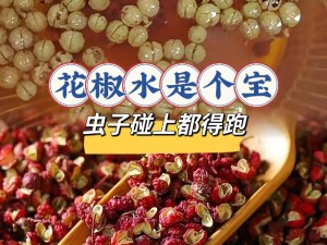 花椒app视频;花椒 app 视频为何如此受欢迎？