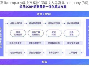 人马畜禽company解决方案(如何解决人马畜禽 company 的问题？)