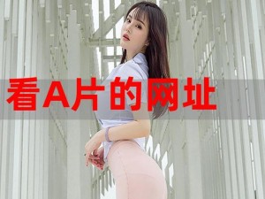 1300部小泑u—如何观看 1300 部小泑 u？