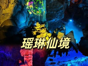 xzl仙踪林视频欢迎您;仙踪林视频：探索神秘世界，尽在 xzl 仙踪林视频