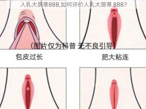 人乳大荫蒂BBB,如何评价人乳大荫蒂 BBB？