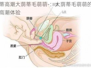 荫蒂高潮大荫蒂毛萌萌-：大荫蒂毛萌萌的荫蒂高潮体验