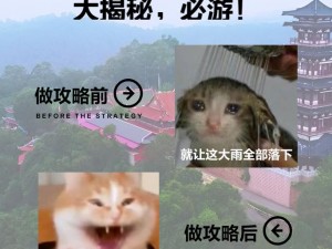 无名宝藏揭秘：揭秘最佳传承人选，谁将成为宝藏守护者更划算？