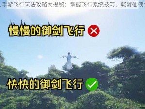 诛仙手游飞行玩法攻略大揭秘：掌握飞行系统技巧，畅游仙侠世界