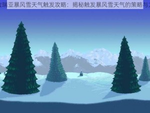 泰拉瑞亚暴风雪天气触发攻略：揭秘触发暴风雪天气的策略与方法