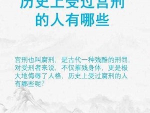 宫中秘策：揭秘历史真相，探寻宫廷权力背后的秘密传奇故事