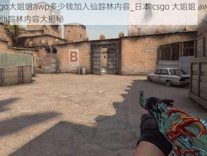 日本csgo大姐姐awp多少钱加入仙踪林内容_日本 csgo 大姐姐 awp 多少钱加入仙踪林内容大揭秘