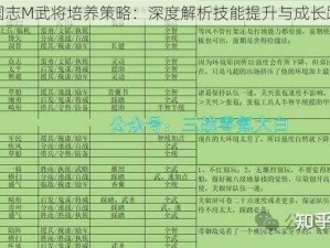 烈火三国志M武将培养策略：深度解析技能提升与成长路径优化