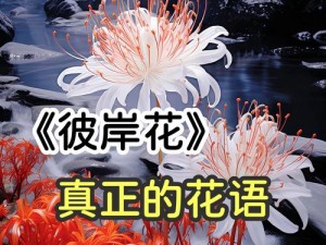 《花开剑舞：闲情垂钓的江湖花语》