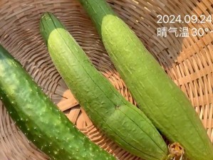 榴莲黄瓜秋葵丝瓜蕾丝最新版_如何获取榴莲黄瓜秋葵丝瓜蕾丝最新版？