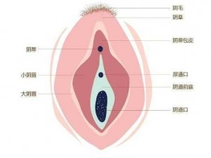 女性角色去掉小内皮肤的私密处整形贴