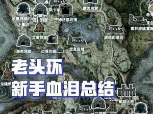 老头环全流程全收集图文攻略：详尽解析，探索者必看