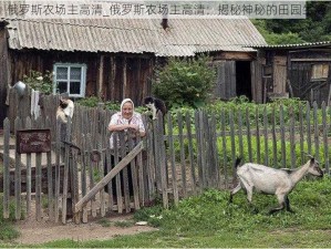 俄罗斯农场主高清_俄罗斯农场主高清：揭秘神秘的田园生活