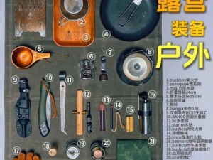 荒野求生技能大揭秘：解锁生存秘籍与制作实用生存工具详解