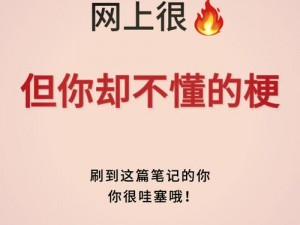 单机贴吧：解析网络流行语背后的神秘梗，深度探讨单机贴吧的起源与含义