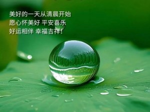 优质在线视频网站，无广告，无弹窗，绿色安全，为用户提供大量正能量的精彩影视内容