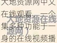 大地资源网中文在线观看，一个集多种功能于一身的在线视频播放平台