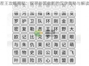 汉字找茬王攻略揭秘：探寻外国电影的汉字奥秘与解读策略指南