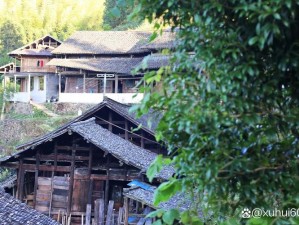 揭秘古寺密林深处之路：探寻江湖放置之道的奇幻旅程