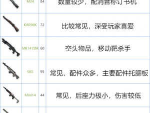 和平精英762步枪性能解析：排名背后的数据揭秘与实战应用探究