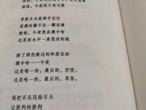 小诗的jianying日记TXT、小诗的见证日记： Jianying 的日常记录 TXT