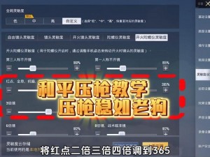 和平精英卡麦解析与解决策略：游戏卡顿如何应对？