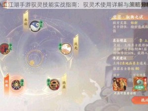 热血江湖手游驭灵技能实战指南：驭灵术使用详解与策略分析