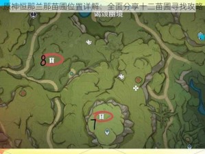 原神恒那兰那苗圃位置详解：全面分享十二苗圃寻找攻略