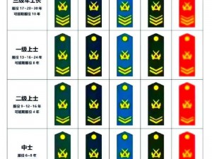 王国纪元军衔巅峰等级解锁揭秘：最高军衔等级开启条件全解析