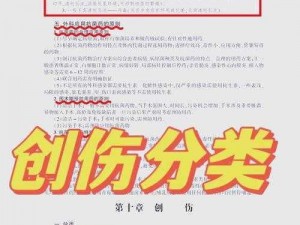 重伤定义解析：其内涵与影响，身体遭受重创的后果探究