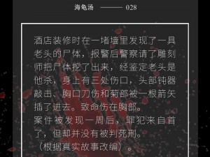 海龟蘑菇汤黑色钱包答案攻略详解：解锁谜题之门，探寻真相之旅