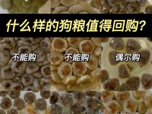 深渊地平线：狗粮掉落全解析 第一部 详细介绍狗粮值及其重要性