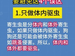 叔叔的大虫子进去吃小虫子、叔叔的大虫子如何吃小虫子