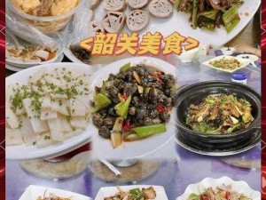 退圈后我开饭店引爆美食热潮：味蕾狂欢，火爆出圈的美食传奇故事