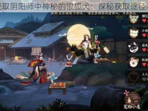 如何获取阴阳师中神秘的银狐犬：探秘获取途径与秘诀