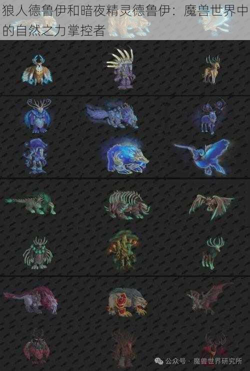 狼人德鲁伊和暗夜精灵德鲁伊：魔兽世界中的自然之力掌控者