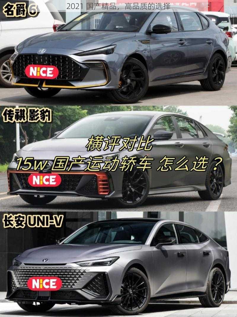 2021 国产精品,高品质的选择