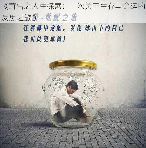 《茸雪之人生探索:一次关于生存与命运的反思之旅》