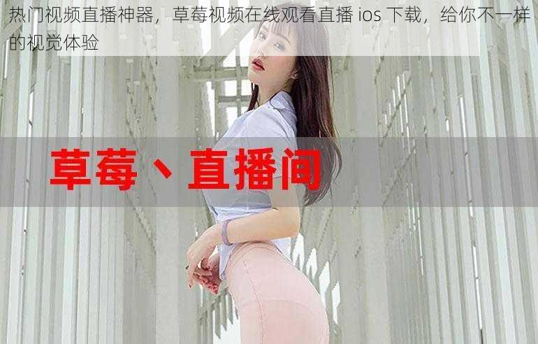 热门视频直播神器,草莓视频在线观看直播 ios 下载,给你不一样的视觉体验