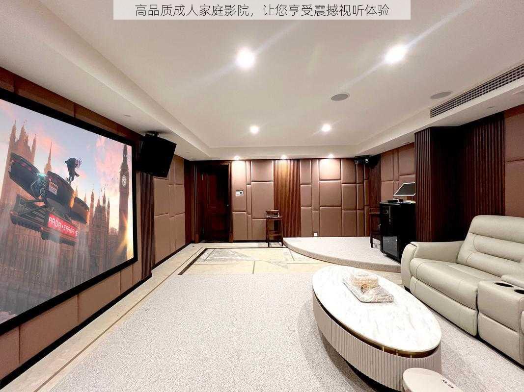 高品质成人家庭影院，让您享受震撼视听体验
