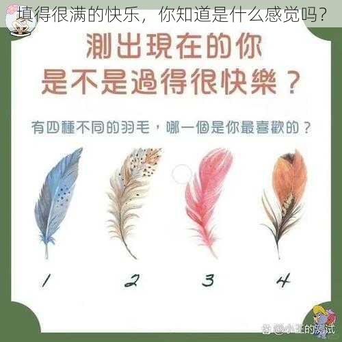 填得很满的快乐，你知道是什么感觉吗？