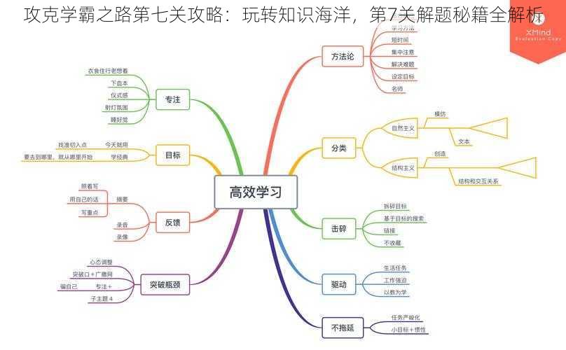 攻克学霸之路第七关攻略：玩转知识海洋，第7关解题秘籍全解析